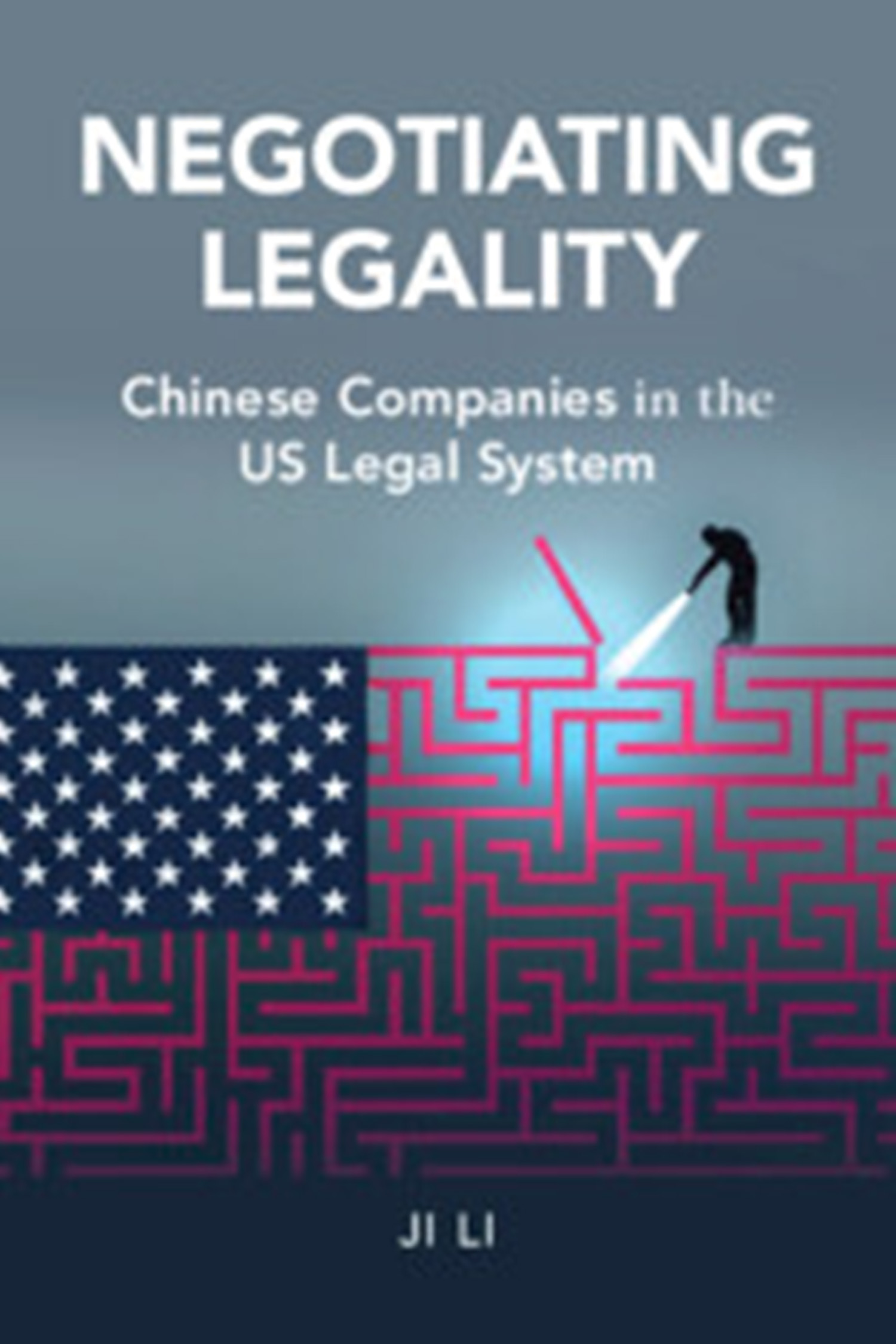 Negotiating Legality: Chinese Companies in the US Legal System Book Cover